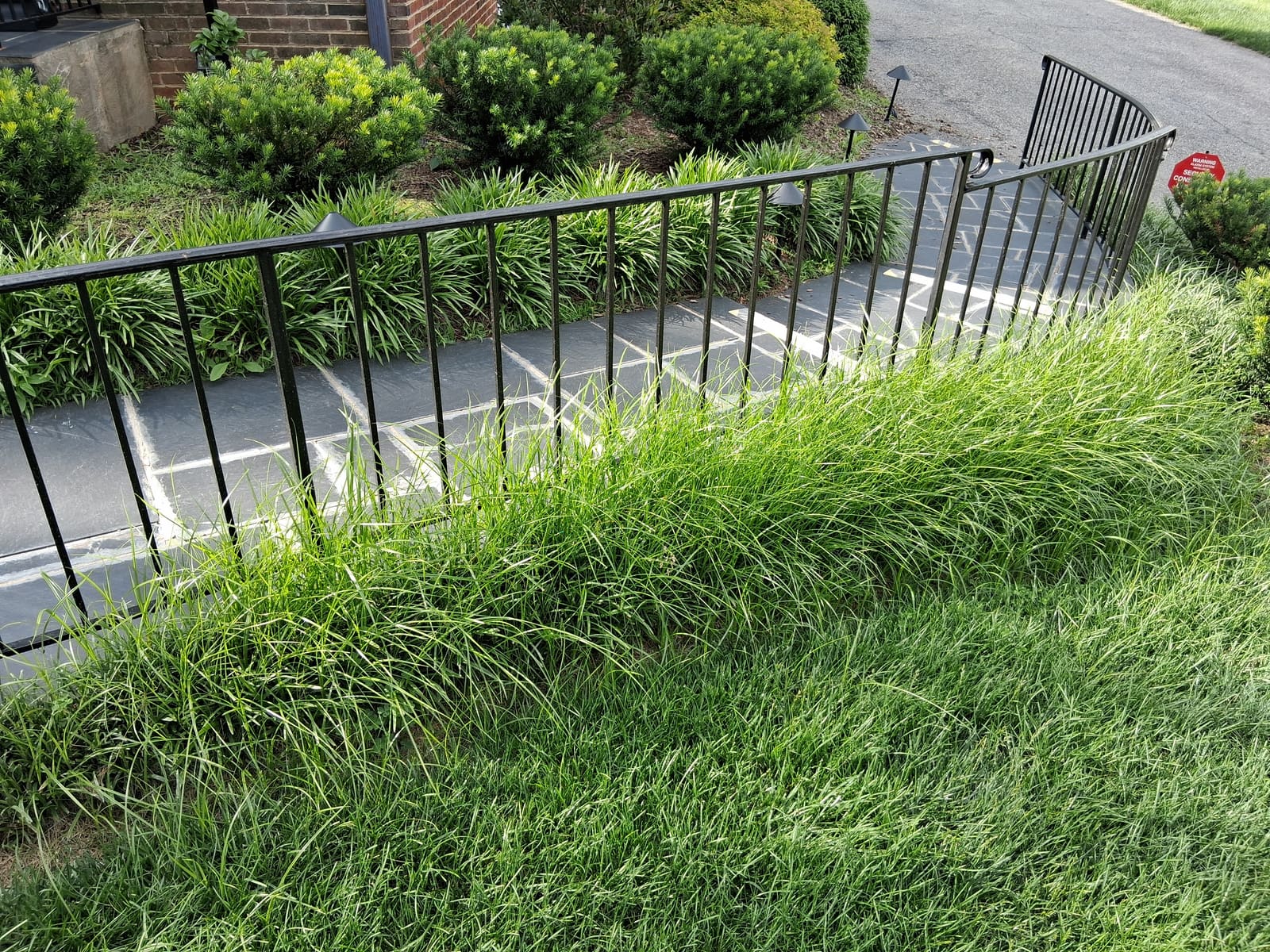 Before — overgrown walkway bed before RLD service